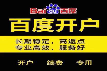 攻略解析：如何利用百度推广抢占市场份额